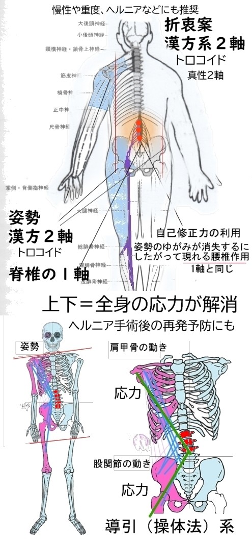 本気の導引