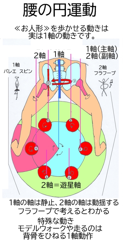 2軸漢方医学