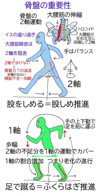 歩行の科学