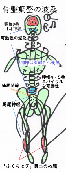 腰を8の字骨盤調整